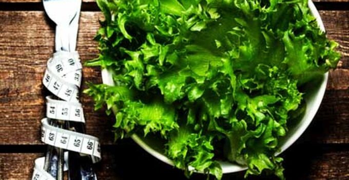 Why Do We Have A Salad For Lunch Each Day?