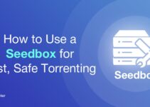 Improving You Internet Experience with Seedboxes