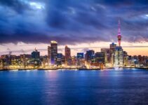 3 Reasons to Start a Business in New Zealand