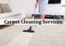 How To Choose Carpet Cleaning Service