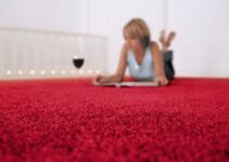How To Keep Your Carpets Clean And Fresh – 2024 Guide