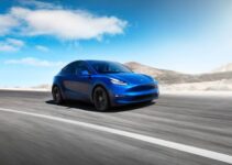 5 Things to Know About Tesla Model Y