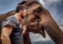 The Best Places To See And Interact With Elephants