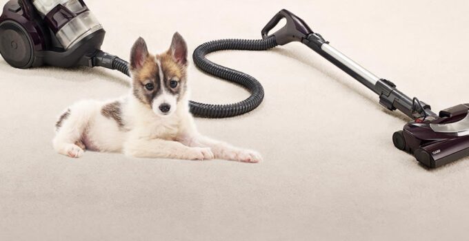 What to consider when choosing the right vacuum cleaner for dog hair
