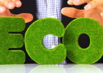 Practical Ways To Make Your Business More Eco-Friendly