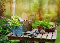 Tools that will help you to keep your garden in a perfect shape