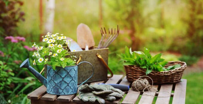 Tools that will help you to keep your garden in a perfect shape