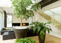 The Comprehensive Guide for Successful Indoor Gardening