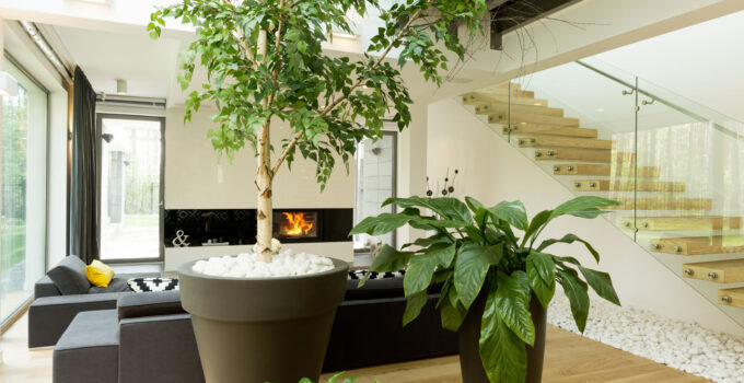 The Comprehensive Guide for Successful Indoor Gardening