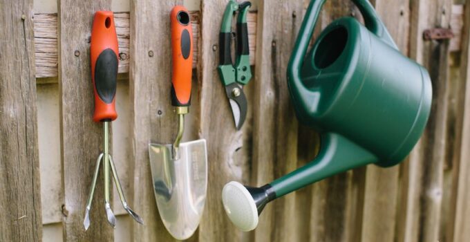 Top 5 Essential Tools To Have For Your Garden