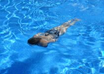 Underground vs Aboveground Pools: Costs and Comparisons
