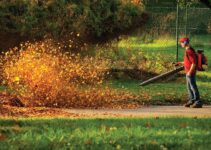 Buying a Leaf Blower: How To