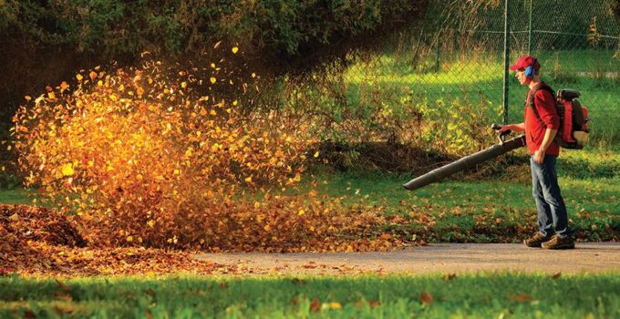 Buying a Leaf Blower: How To