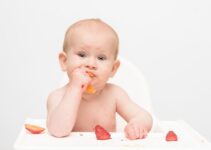 Safest Way For Baby-led Weaning