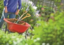 Top 5 Garden Maintenance Equipment for Summer