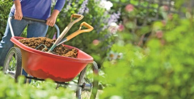 Top 5 Garden Maintenance Equipment for Summer