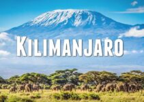 Tips for First-time Visitors to Mount Kilimanjaro