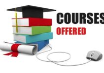 An Overview of the Numerous Courses Offered