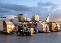 How To Choose The Best International Shipment Service For Fast Delivery
