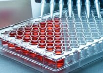 A Quick Overview of the Microplate Market