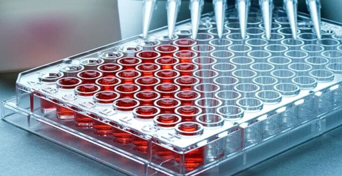 A Quick Overview of the Microplate Market