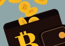 The Best Bitcoin Wallets