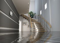 What to Do When Your Basement Gets Flooded?