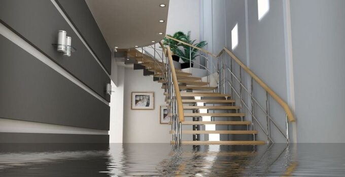What to Do When Your Basement Gets Flooded?