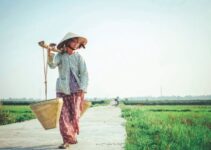 Best Ways to Discover Vietnam for the First Time