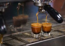 What are the Different Types of Espresso You Should Try?