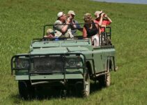 Top 6 Binoculars for Jeep Safari in 2024