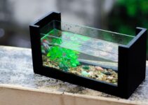 How to Make a 10-Gallon Fish Tank – 2024 DIY Guide
