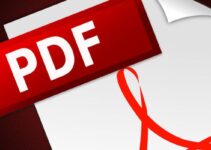 Top 5 PDF Creator on the Market in 2024