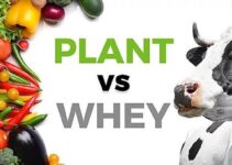 Whey Protein v/s Plant Protein: Which One Is Better For You?