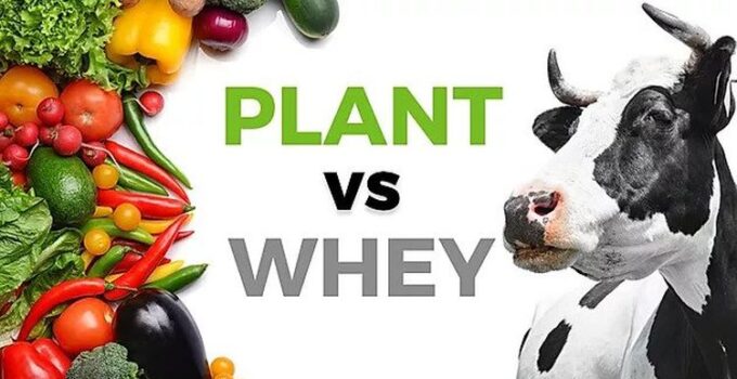 Whey Protein v/s Plant Protein: Which One Is Better For You?