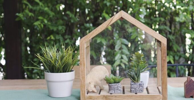 6 DIY Indoor Greenhouse Ideas You Can Easily Make