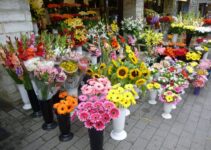 Buy Flowers in Riga Online: What Bouquets Are in Trends This Summer 2024