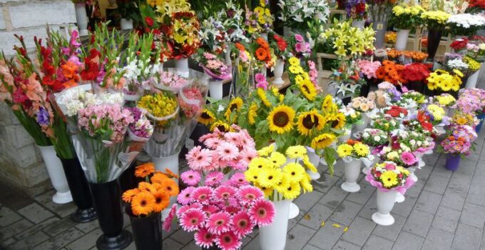Buy Flowers in Riga Online: What Bouquets Are in Trends This Summer 2024