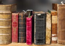 7 Rarest Books in the World and How to Find Them?