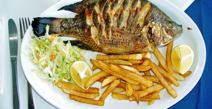 Have Fresh Fish for Dinner Tonight – Deep Sea Fishing