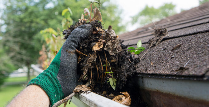 5 Ways a Clogged Gutter Can Affect your Foundation – 2024 Guide