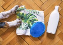 8 At-Home Dog Grooming Kits You Should Have – 2024 Guide