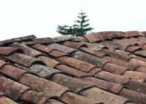 5 Roof Repairs You Should Never Try to DIY – 2024 Guide