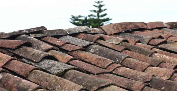 5 Roof Repairs You Should Never Try to DIY – 2024 Guide