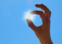 Benefits of Sunny Vitamin D – 2024 Guide