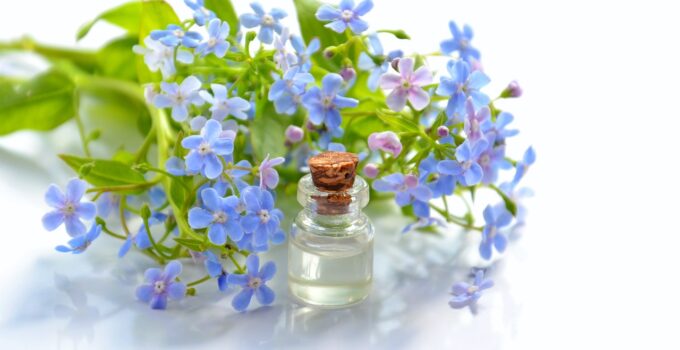 The Essentials of Essential Oils