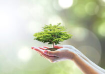 How To Be More Environmentally Conscious In Everyday Life?