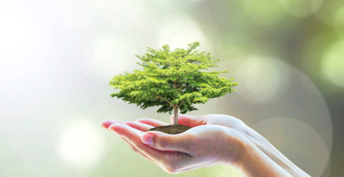 How To Be More Environmentally Conscious In Everyday Life?