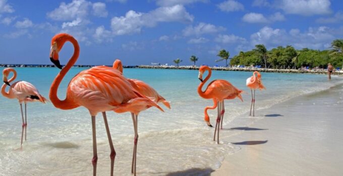 20 Things To Know Before Going To Aruba
