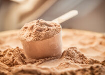 Different Types of Whey Protein